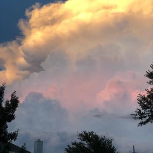 Meet your Posher, Mindy